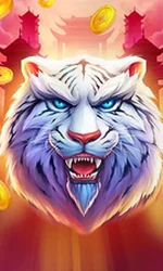 Luck of Tiger