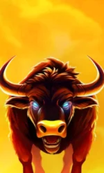 Big Wild Buffalo 2